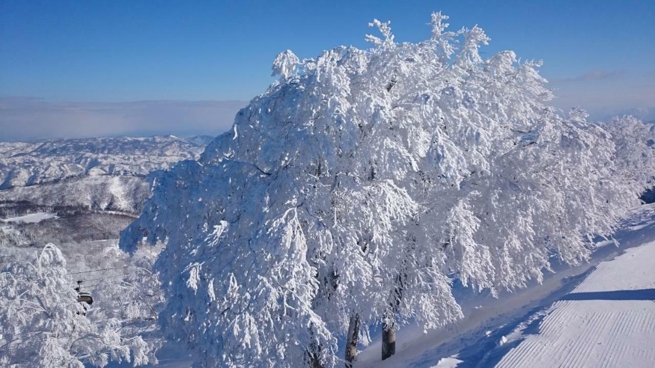Nozawa Dream Central Luaran gambar